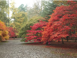 National Arboretum, Tetbury, Cotswolds, Gloucestershire. Find Cottage Holidays